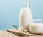 Sữa tươi không đường bao nhiêu calo? Uống nhiều có béo không?