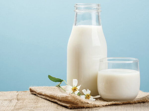 Sữa tươi không đường bao nhiêu calo? Uống nhiều có béo không?