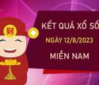 Nhận định XSMN 12/8/2023 thống kê loto VIP miền Nam