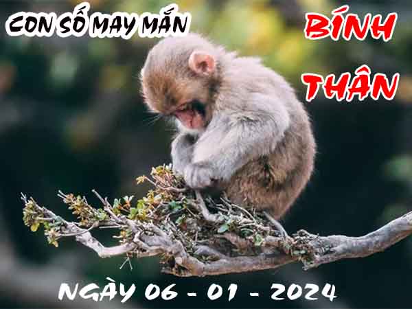 Thống kê con số may mắn tuổi Bính Thân ngày 6/1/2024